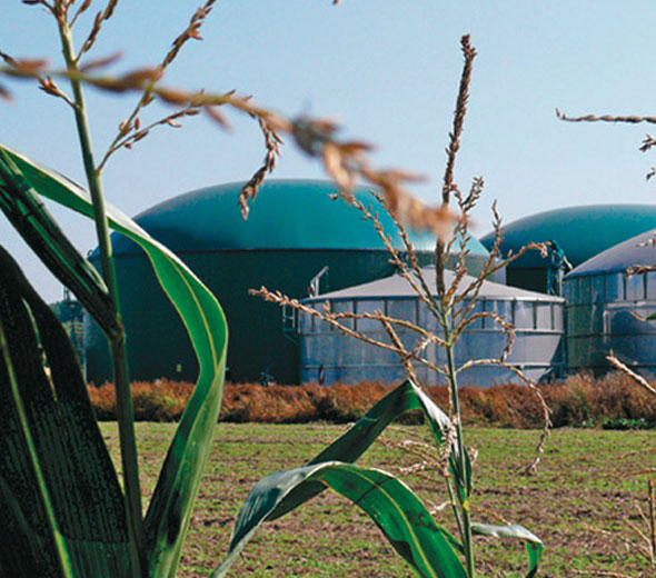Flexible steel pipes for biogas digesters